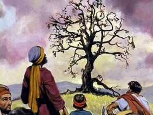 Holy Week Monday - Fig Tree