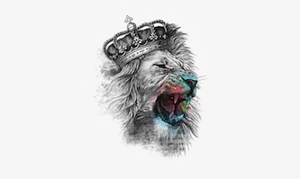What Is In A Name – Lion of the Tribe of Judah